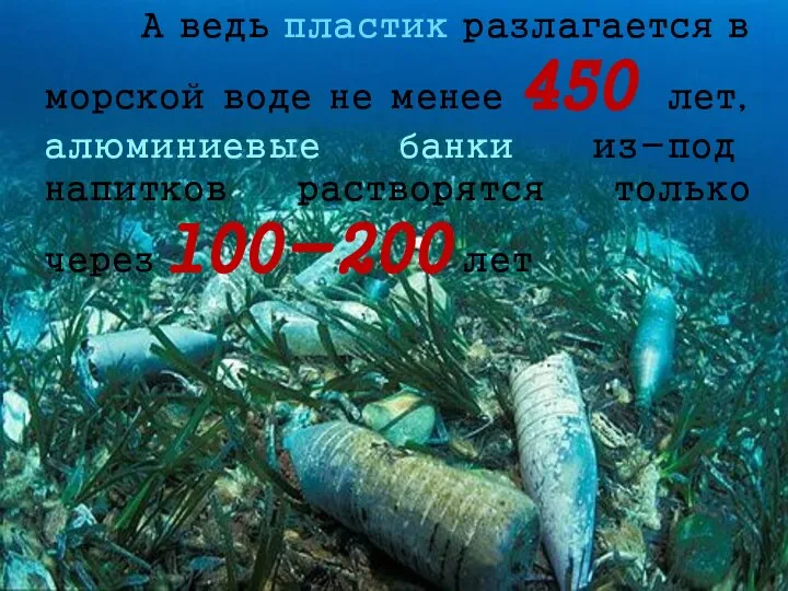 А ведь пластик разлагается в морской воде не менее 450 лет,