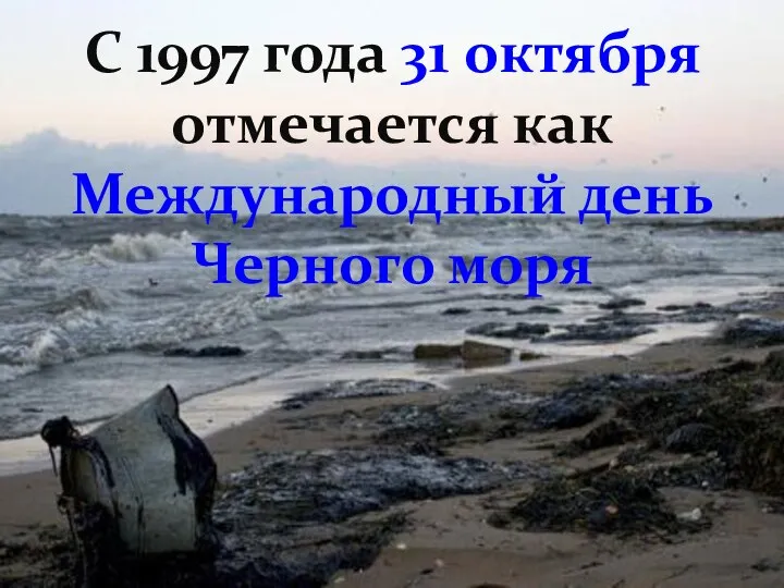 С 1997 года 31 октября отмечается как Международный день Черного моря