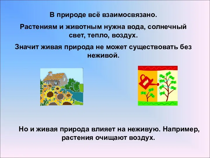 В природе всё взаимосвязано. Растениям и животным нужна вода, солнечный свет,