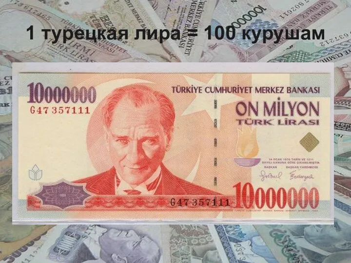 1 турецкая лира = 100 курушам