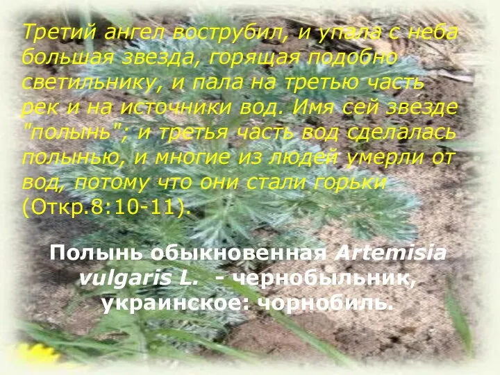 Третий ангел вострубил, и упала с неба большая звезда, горящая подобно