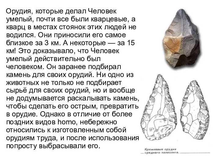 Орудия, которые делал Человек умелый, почти все были кварцевые, а кварц