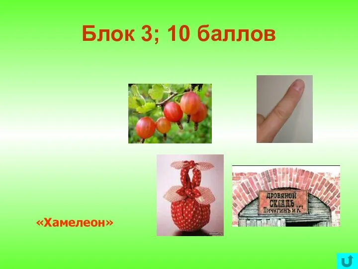 Блок 3; 10 баллов «Хамелеон»