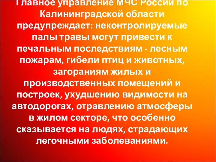 Главное управление МЧС России по Калининградской области предупреждает: неконтролируемые палы травы