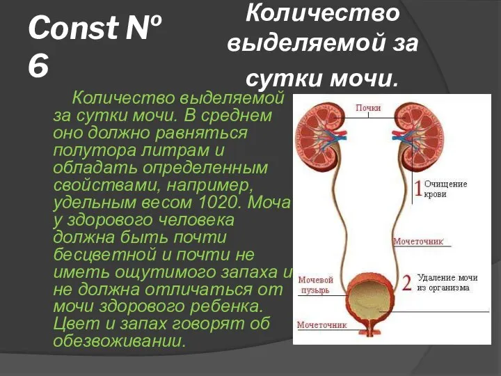 Const № 6 Количество выделяемой за сутки мочи. В среднем оно