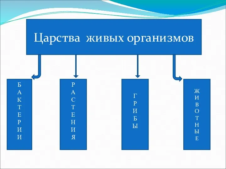 Царства живых организмов Б А К Т Е Р И И