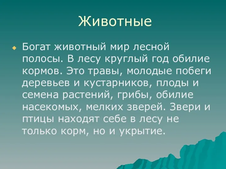 Животные Богат животный мир лесной полосы. В лесу круглый год обилие