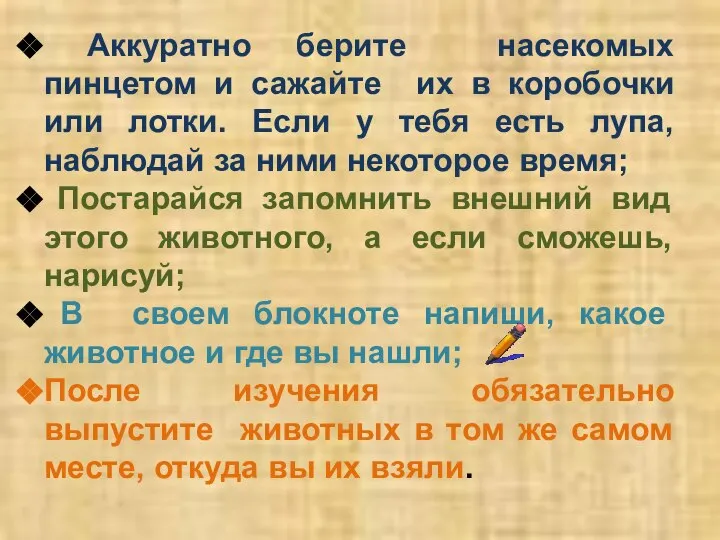 Аккуратно берите насекомых пинцетом и сажайте их в коробочки или лотки.