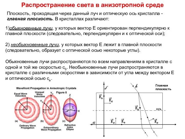 Плоскость, проходящая через данный луч и оптическую ось кристалла - главная