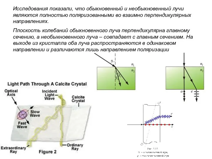 Исследования показали, что обыкновенный и необыкновенный лучи являются полностью поляризованными во
