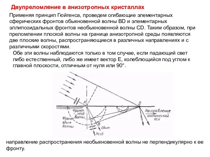 Применяя принцип Гюйгенса, проведем огибающие элементарных сферических фронтов обыкновенной волны BD