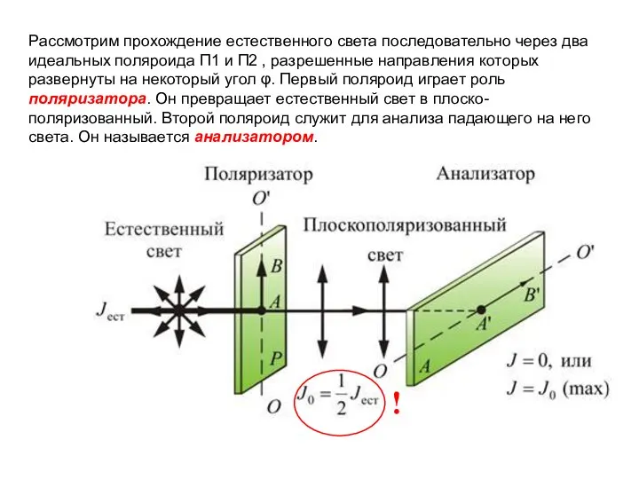 Рассмотрим прохождение естественного света последовательно через два идеальных поляроида П1 и