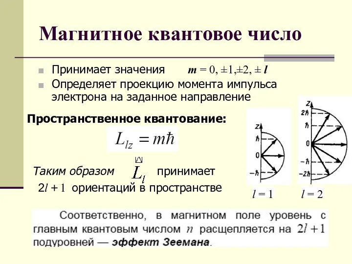 Магнитное квантовое число Принимает значения m = 0, ±1,±2, ± l