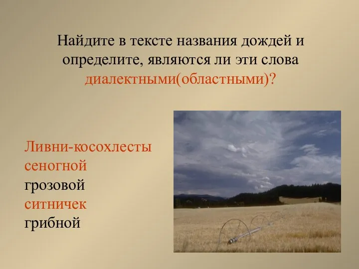 Найдите в тексте названия дождей и определите, являются ли эти слова