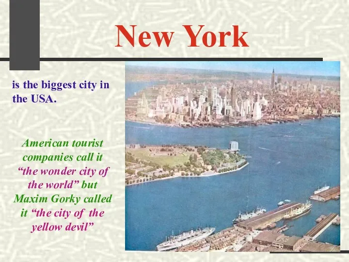 New York is the biggest city in the USA. American tourist