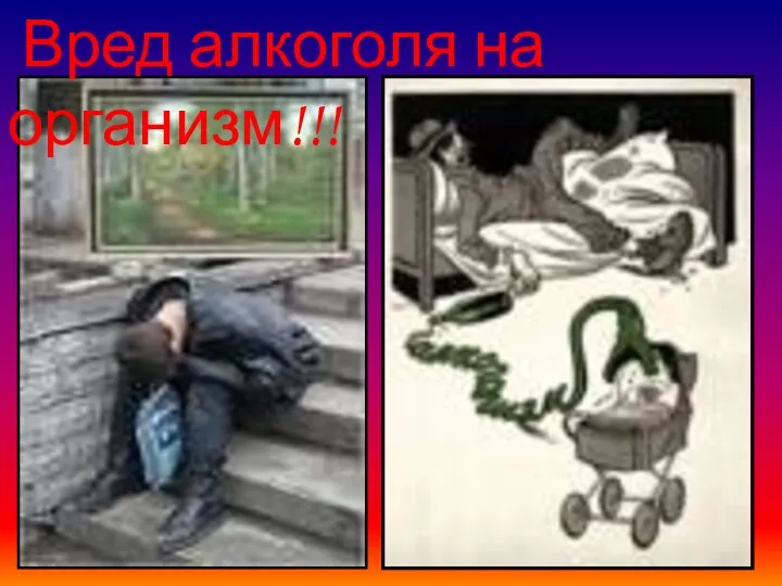 Вред алкоголя на организм!!!