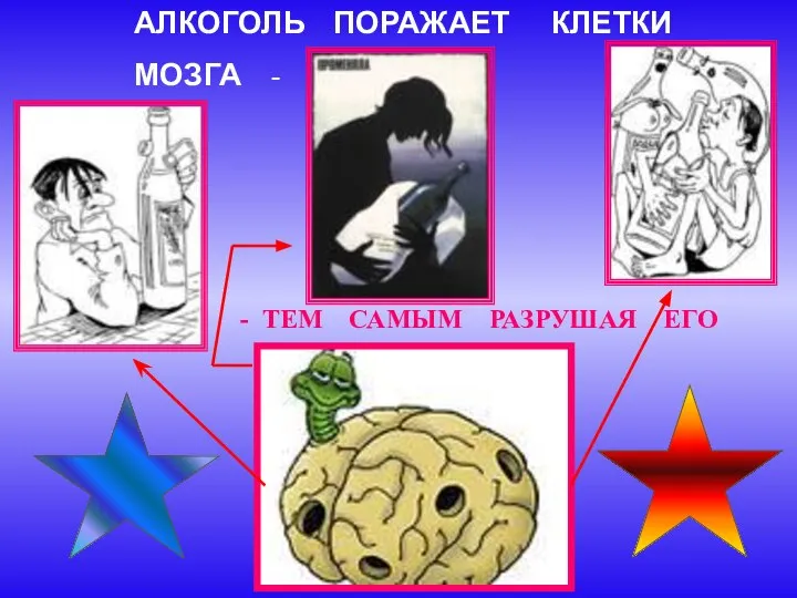 АЛКОГОЛЬ ПОРАЖАЕТ КЛЕТКИ МОЗГА - - ТЕМ САМЫМ РАЗРУШАЯ ЕГО