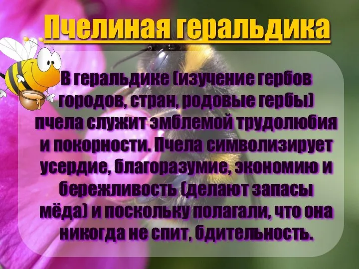 Пчелиная геральдика В геральдике (изучение гербов городов, стран, родовые гербы) пчела