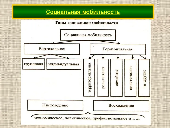 Социальная мобильность