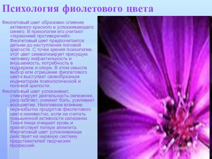 Психология фиолетового цвета Фиолетовый цвет образован слияние активного красного и успокаивающего