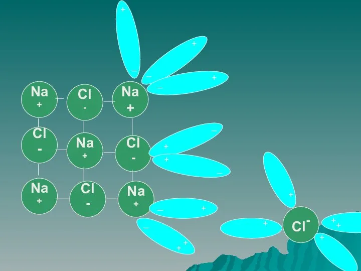 Na+ Cl - Na+ Na+ Cl - Cl - Na+ Cl