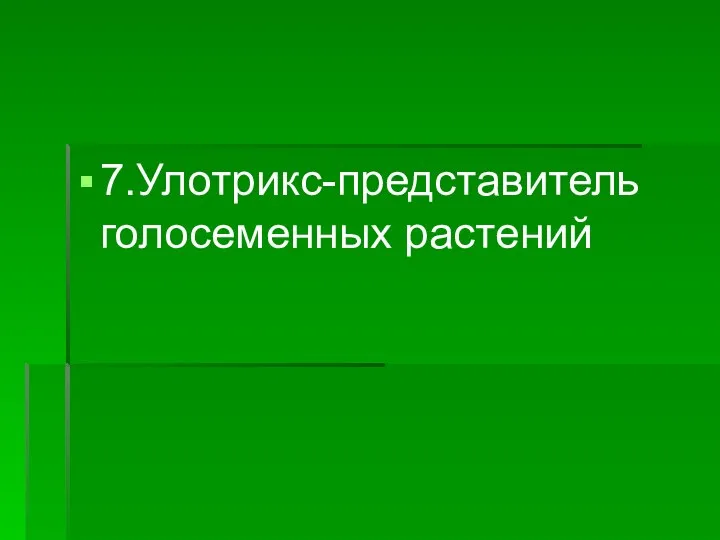 7.Улотрикс-представитель голосеменных растений