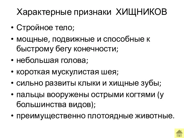 Характерные признаки ХИЩНИКОВ Стройное тело; мощные, подвижные и способные к быстрому