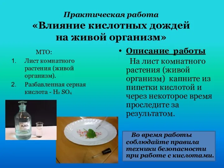 Практическая работа «Влияние кислотных дождей на живой организм» Описание работы На