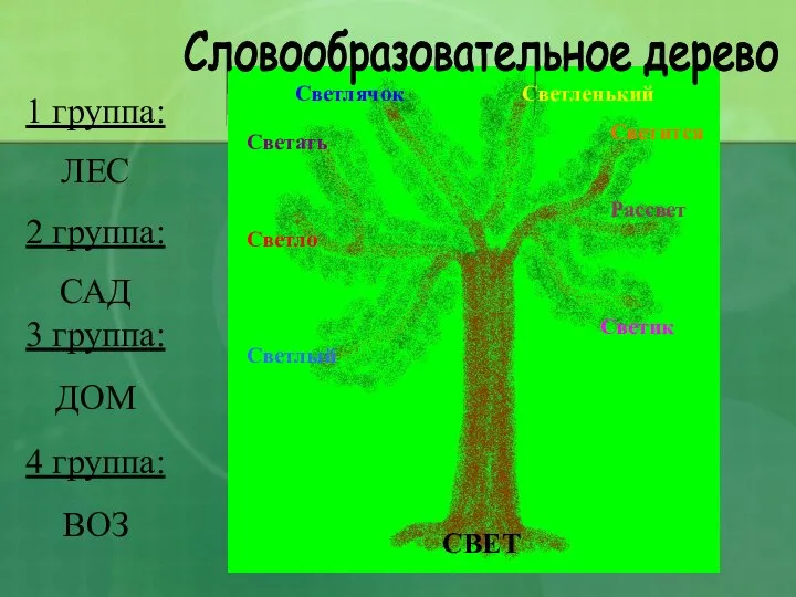 Словообразовательное дерево 1 группа: ЛЕС 2 группа: САД 3 группа: ДОМ 4 группа: ВОЗ