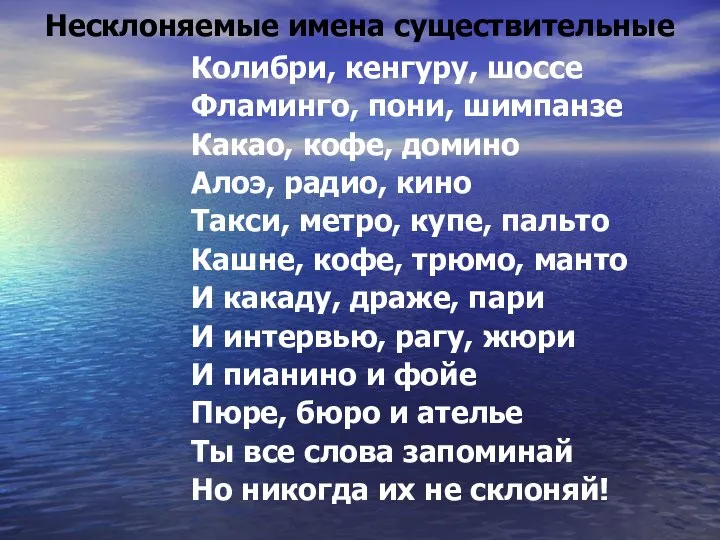 Несклоняемые имена существительные Колибри, кенгуру, шоссе Фламинго, пони, шимпанзе Какао, кофе,