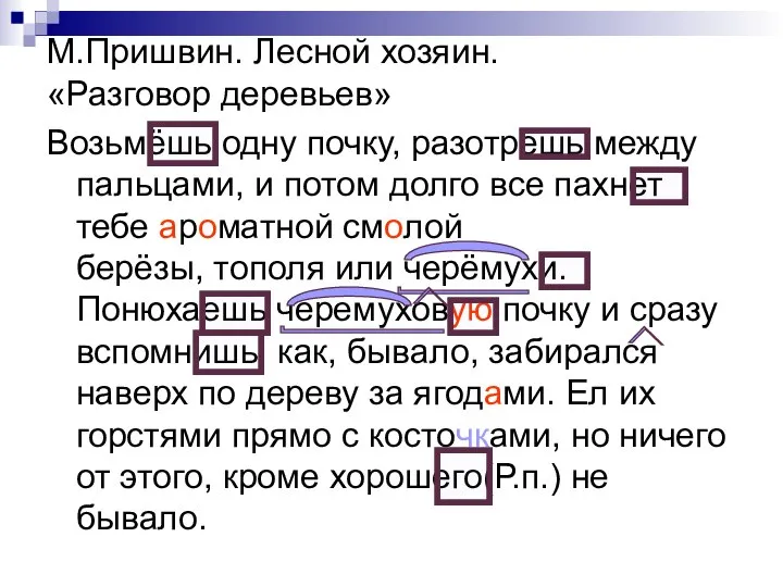 М.Пришвин. Лесной хозяин. «Разговор деревьев» Возьмёшь одну почку, разотрешь между пальцами,