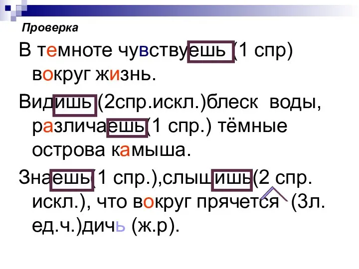 Проверка В темноте чувствуешь (1 спр) вокруг жизнь. Видишь (2спр.искл.)блеск воды,