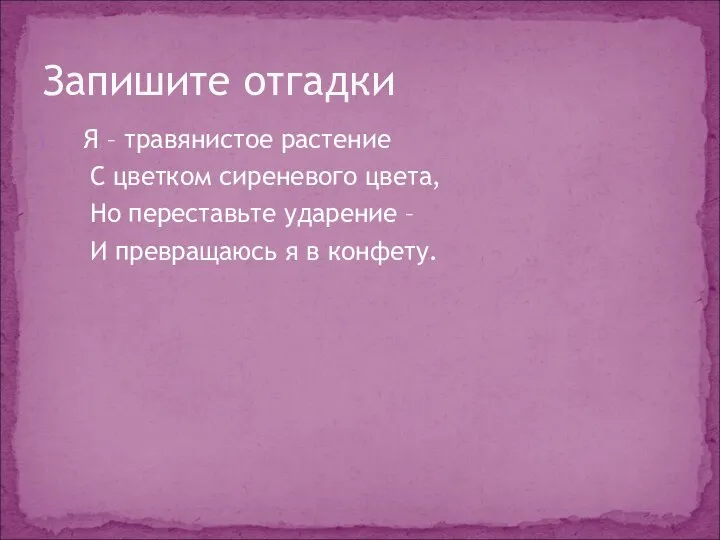 Я – травянистое растение С цветком сиреневого цвета, Но переставьте ударение