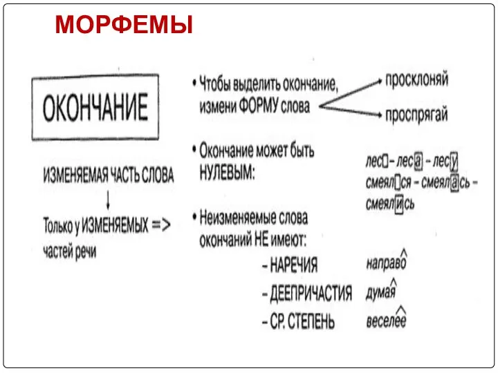 МОРФЕМЫ