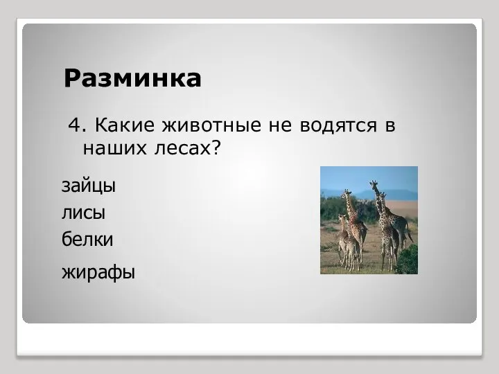 Разминка 4. Какие животные не водятся в наших лесах? зайцы лисы белки жирафы