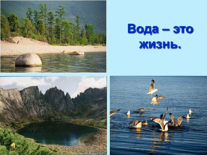 Вода – это жизнь.