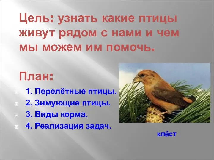Цель: узнать какие птицы живут рядом с нами и чем мы