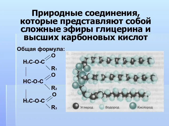 Общая формула: О Н2С-О-С R1 О НС-О-С R2 О Н2С-О-С R3