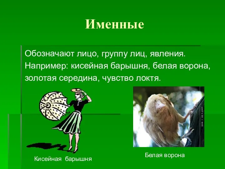 Именные Обозначают лицо, группу лиц, явления. Например: кисейная барышня, белая ворона,