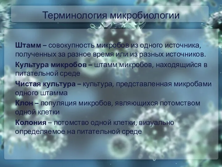 Терминология микробиологии Штамм – совокупность микробов из одного источника, полученных за