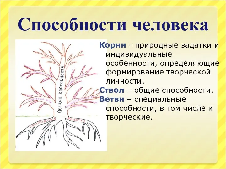 Способности человека Корни - природные задатки и индивидуальные особенности, определяющие формирование