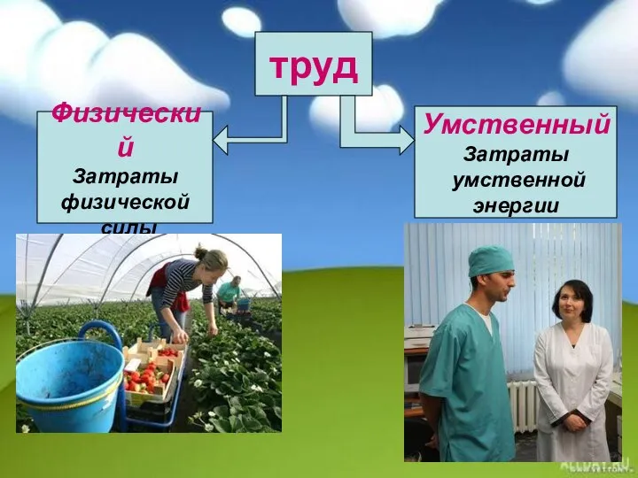 труд Физический Затраты физической силы Умственный Затраты умственной энергии