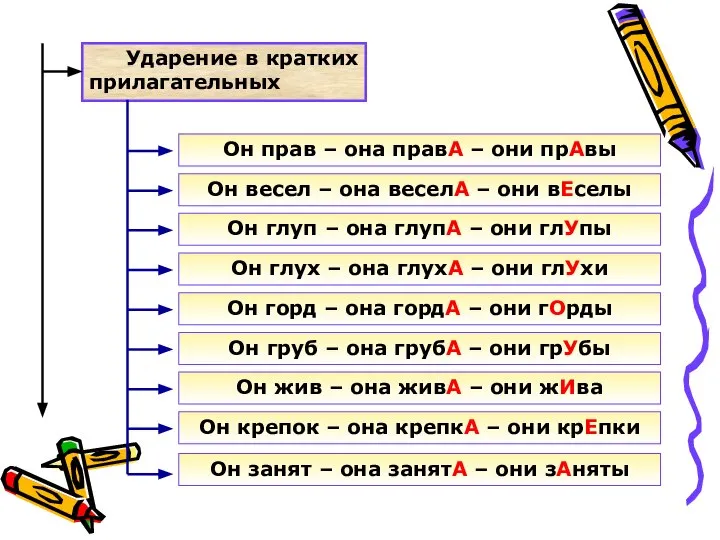 Ударение в кратких прилагательных Он прав – она правА – они