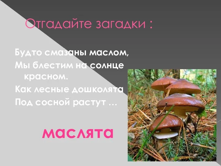 Отгадайте загадки : Будто смазаны маслом, Мы блестим на солнце красном.