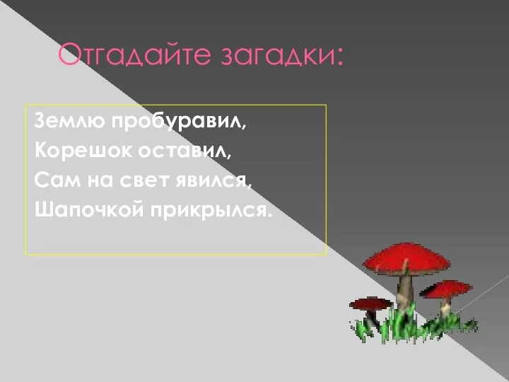 Отгадайте загадки: Землю пробуравил, Корешок оставил, Сам на свет явился, Шапочкой прикрылся.