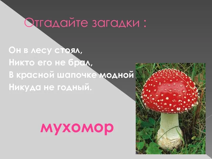 Отгадайте загадки : Он в лесу стоял, Никто его не брал,