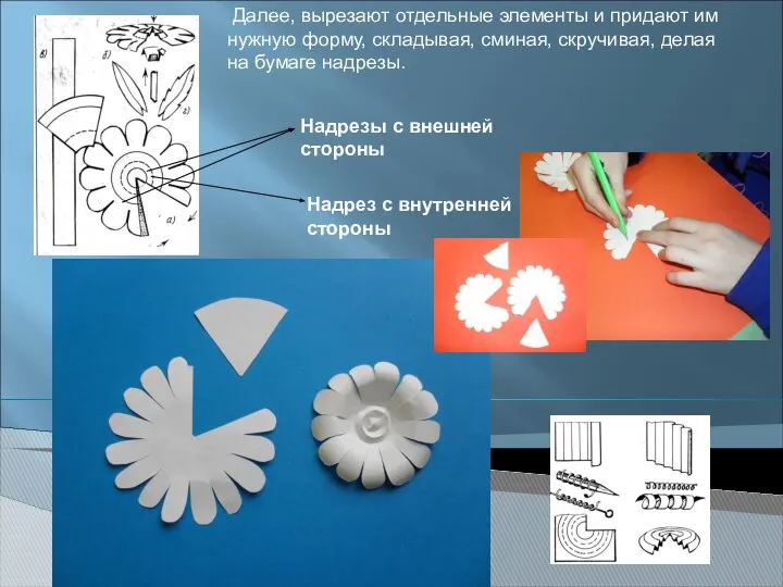 Надрезы с внешней стороны Надрез с внутренней стороны Далее, вырезают отдельные