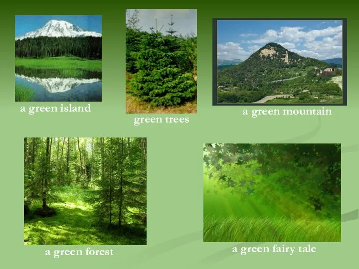 a green island a green forest green trees a green mountain a green fairy tale