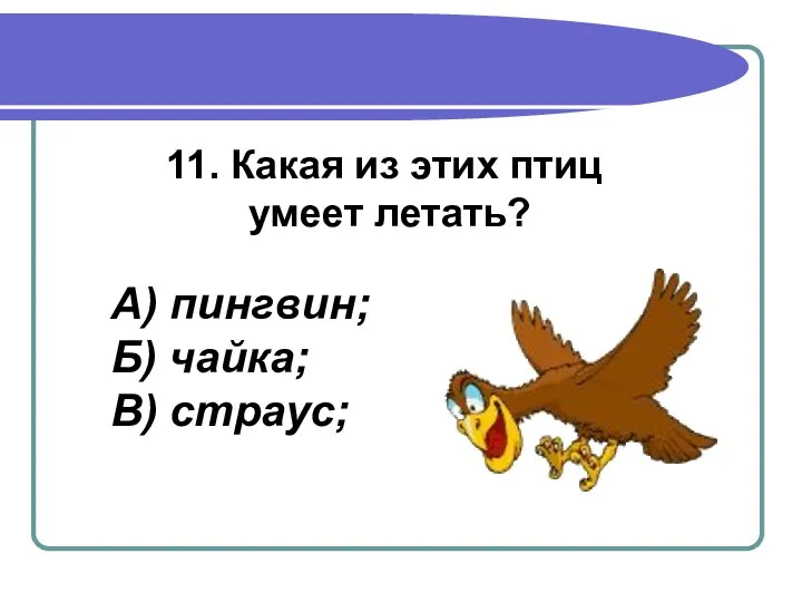 11. Какая из этих птиц умеет летать? А) пингвин; Б) чайка; В) страус;