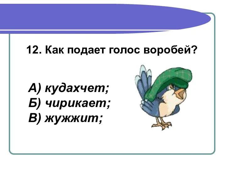 12. Как подает голос воробей? А) кудахчет; Б) чирикает; В) жужжит;